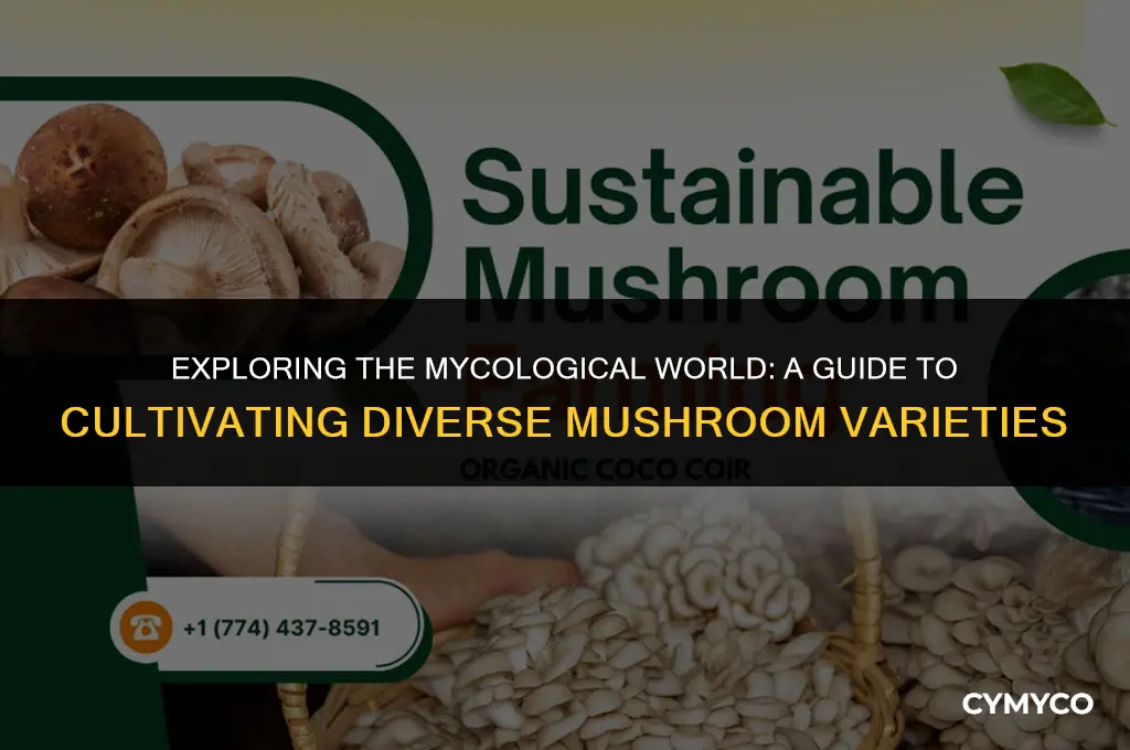 how to make different types of mushroom