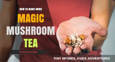 Brewing Enchantment: A Guide to Dried Magic Mushroom Tea
