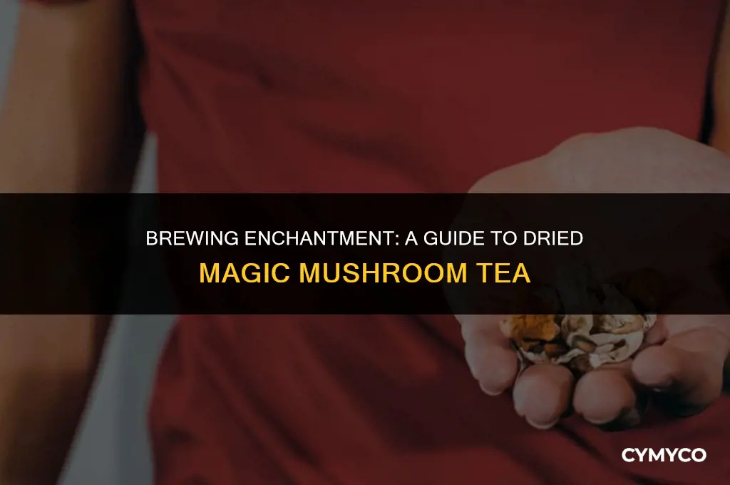 how to make dried magic mushroom tea