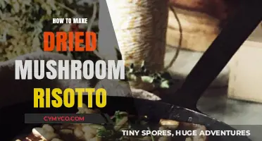 Savor the Earthy Delight: Dried Mushroom Risotto Recipe