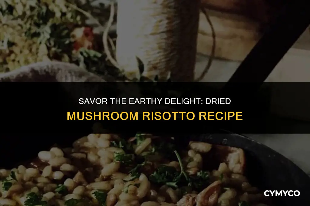 how to make dried mushroom risotto