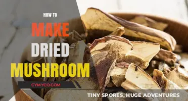 From Forest to Pantry: The Art of Drying Mushrooms