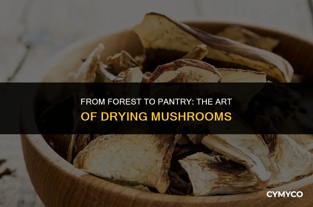 how to make dried mushroom
