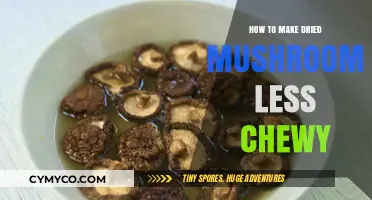 Reviving Texture: Tips to Make Dried Mushrooms Less Chewy