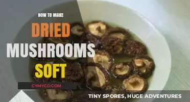 Reviving Flavor: Techniques to Rehydrate Dried Mushrooms