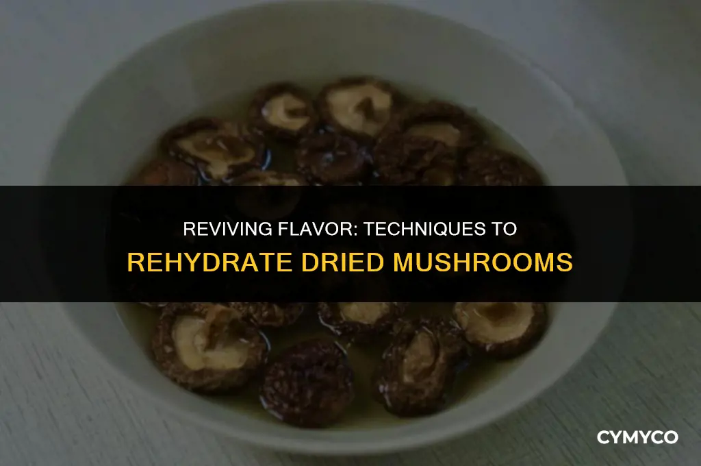 how to make dried mushrooms soft