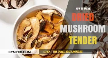 Reviving Earthy Delights: Techniques to Tenderize Dried Mushrooms