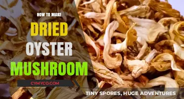 Crafting Umami: The Art of Drying Oyster Mushrooms at Home