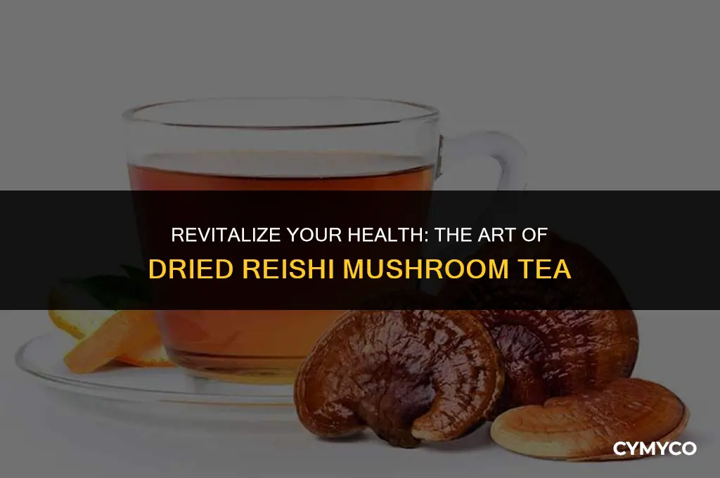 how to make dried reishi mushroom tea