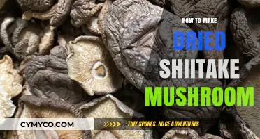 Unlocking Umami: The Art of Drying Shiitake Mushrooms