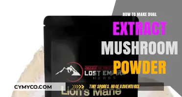 Crafting Dual Extract Mushroom Powder: A Comprehensive Guide