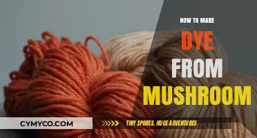 Unlocking Nature's Palette: The Art of Mushroom Dyeing