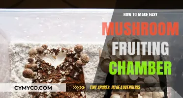 Simple Steps to Create Your Own Mushroom Fruiting Chamber