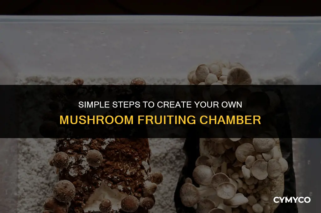 how to make easy mushroom fruiting chamber
