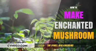 Crafting Magic: A Guide to Enchanted Mushroom Creation