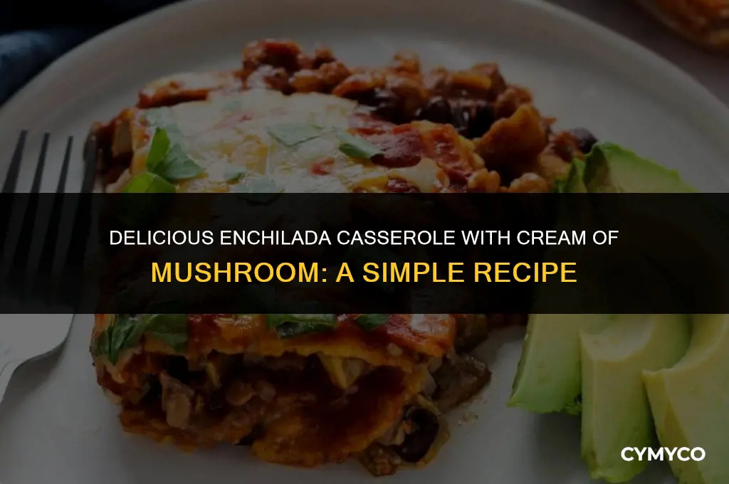how to make enchilada casserole with cream of mushroom
