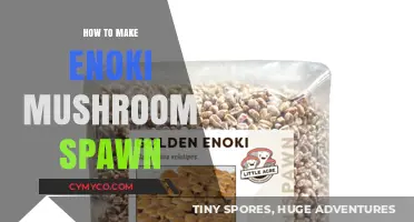 Cultivating Enoki Mushrooms: A Step-by-Step Spawn Guide