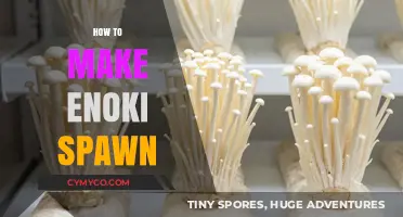 Cultivating Enoki Mushrooms: A Beginner's Guide to Spawn Production