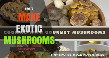 Exploring the World of Exotic Mushrooms: A Beginner's Guide