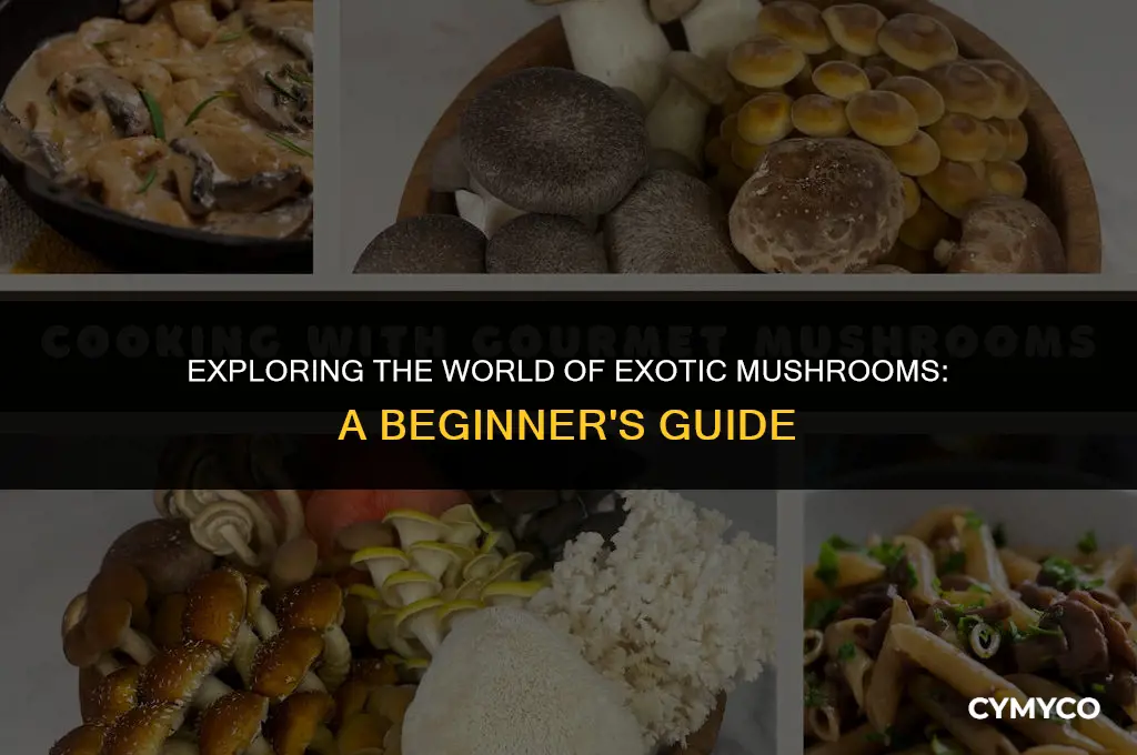 how to make exotic mushrooms