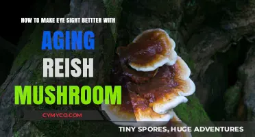 Revitalize Your Vision: The Anti-Aging Power of Reishi Mushrooms