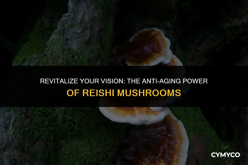 how to make eye sight bettter with aging reish mushroom