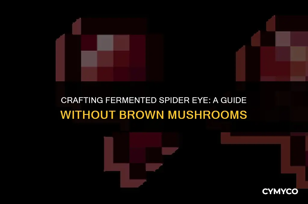 how to make fermented spider eye without brown mushrooms