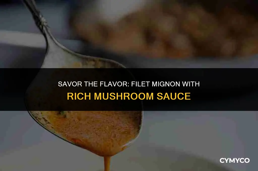 how to make filet mignon with mushroom sauce