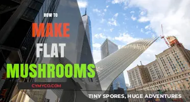 Savor the Flavor: A Guide to Perfectly Flat Mushrooms