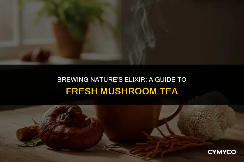 how to make fresh mushroom tea