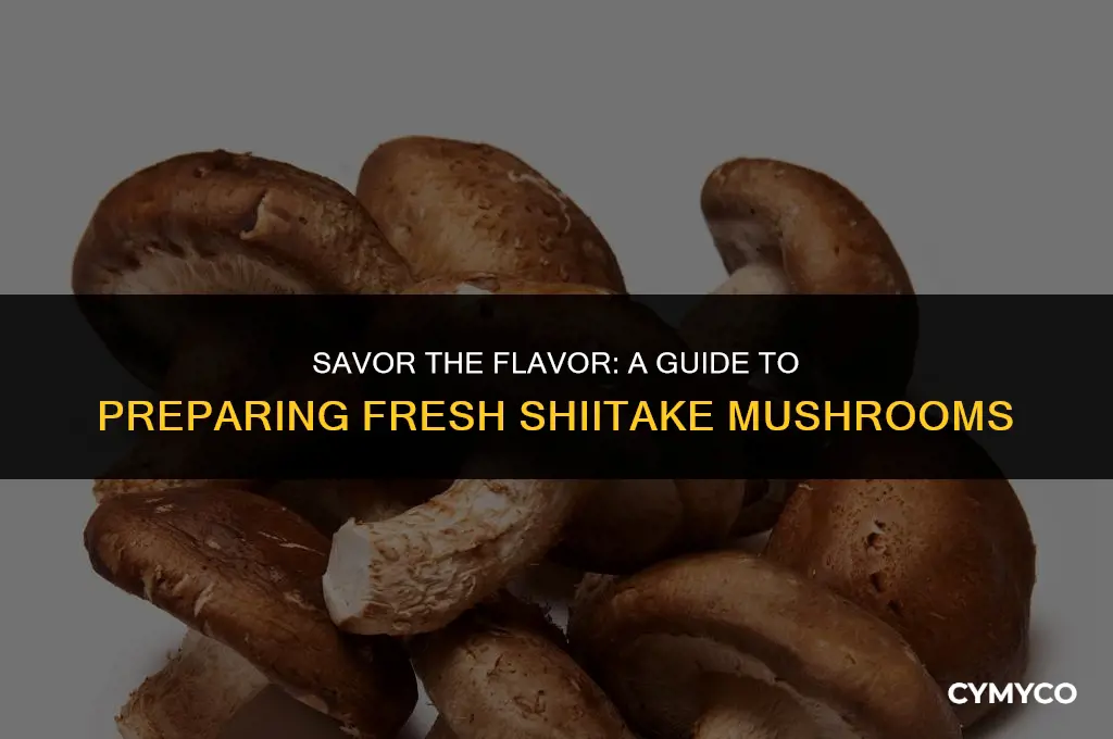 how to make fresh shiitake mushrooms dr