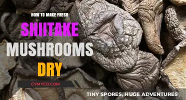 From Fresh to Dry: A Simple Guide to Preserving Shiitake Mushrooms