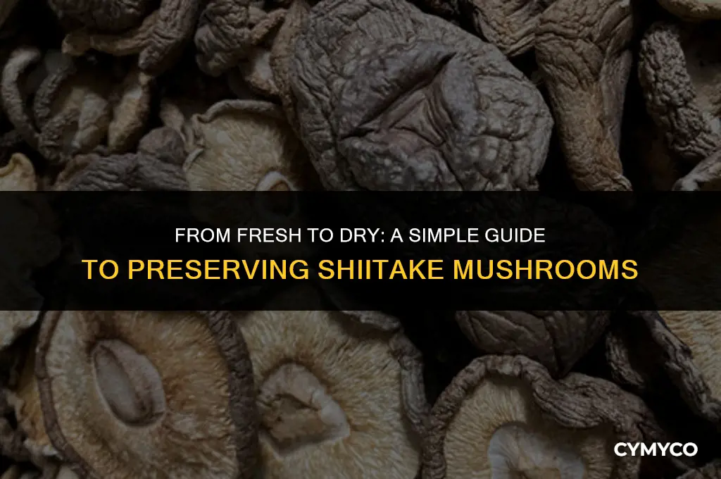 how to make fresh shiitake mushrooms dry