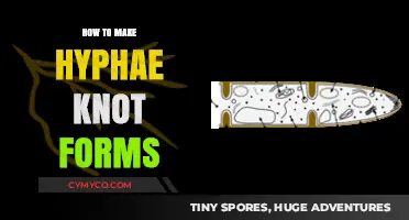 Crafting Intricate Hyphae Knot Forms: A Step-by-Step Guide