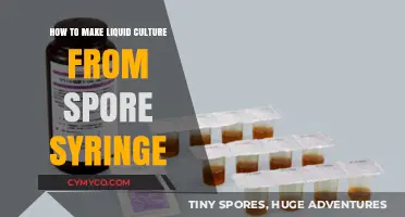 Crafting Liquid Culture: A Step-by-Step Guide from Spore Syringe