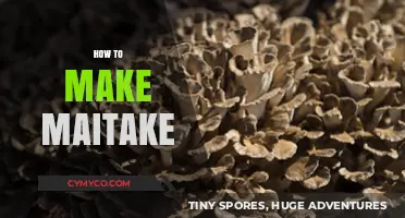 Crafting Maitake Magic: A Beginner's Guide to Growing Gourmet Mushrooms