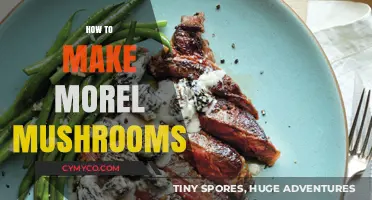 Savor the Spring: A Guide to Preparing Morel Mushrooms