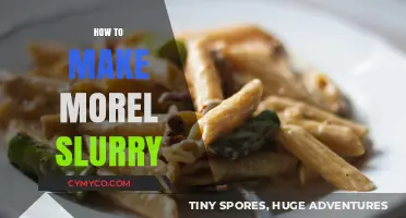 Mastering Morel Slurry: Simple Steps for Rich, Earthy Flavor
