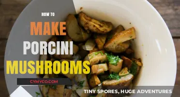 Savor the Richness: A Guide to Preparing Porcini Mushrooms