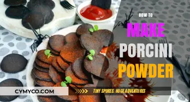 Unlocking the Rich Flavor of Porcini: A Guide to Making Porcini Powder