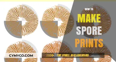Mastering Mushroom Identification: A Step-by-Step Guide to Making Spore Prints