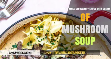 Easy Stroganoff Sauce Recipe Using Cream of Mushroom Soup