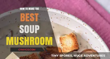 Savor the Flavor: Crafting the Perfect Mushroom Soup Delight