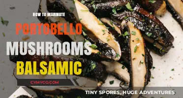 Balsamic Bliss: The Perfect Portobello Mushroom Marinade