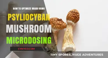 Unlocking Cognitive Potential: A Guide to Psilocybin Microdosing for Brain Optimization