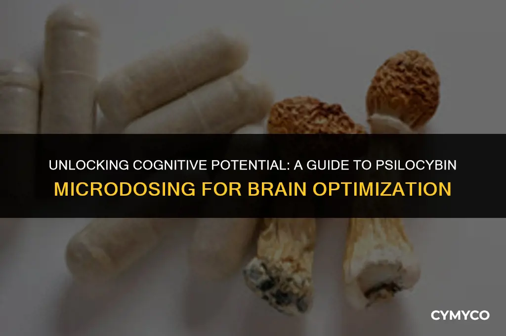 how to optimize brain using psyliocyban mushroom microdosing