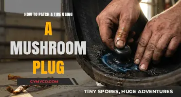 Eco-Friendly Tire Repair: Using Mushroom Plugs for a Sustainable Fix