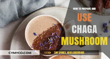 Unlocking the Power of Chaga: A Comprehensive Guide to Preparation and Use