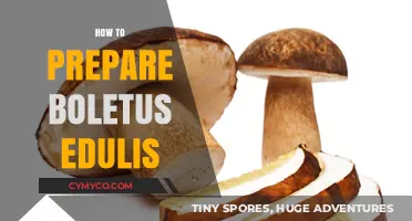 Savoring the King of Mushrooms: A Guide to Preparing Boletus Edulis
