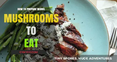 Savoring Spring's Bounty: A Guide to Preparing Morel Mushrooms